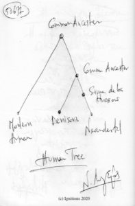 50637 - Human Tree. (Dessin)