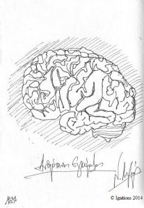 Ανθρώπινος Εγκέφαλος. (Dessin sur cahier)