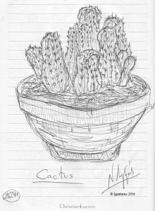 Cactus. (Dessin au feutre)