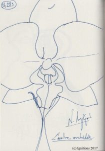 L'autre orchidée. (Dessin au feutre).