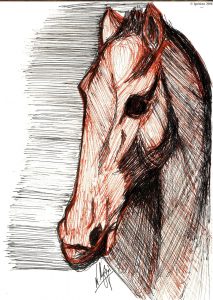 3696 - Etude de tête de cheval de Leonardo da Vinci.