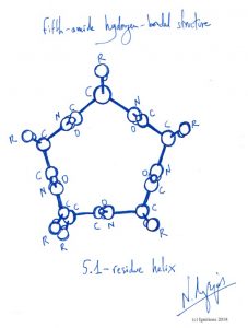 Fifth-amide hydrogen-bonded structure. (Dessin)