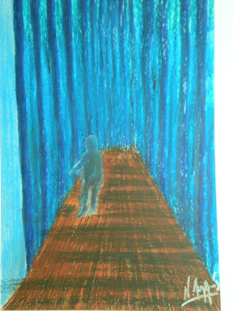 L'ombre sur le chemin du bois bleu.