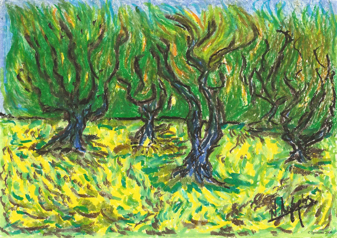 L'oliveraie de Vincent.