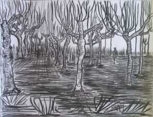 Les arbres et Vincent.