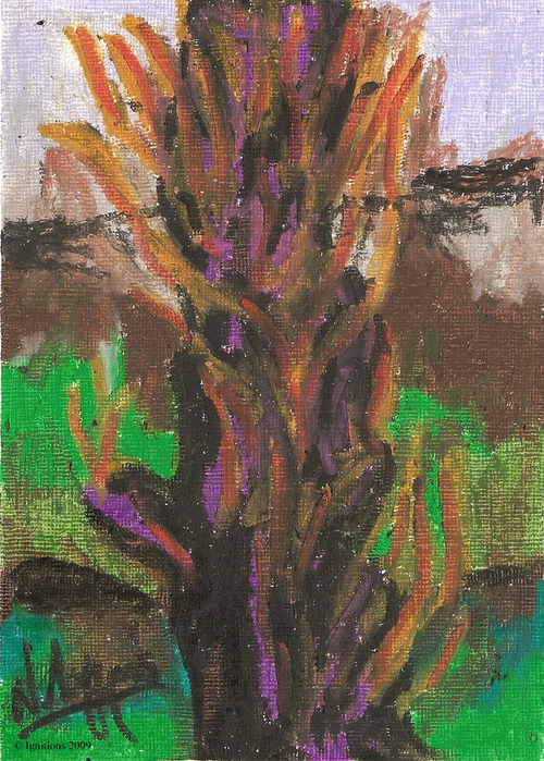 Un tronc de Vincent à Arles.